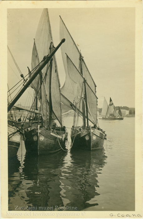 Image description
